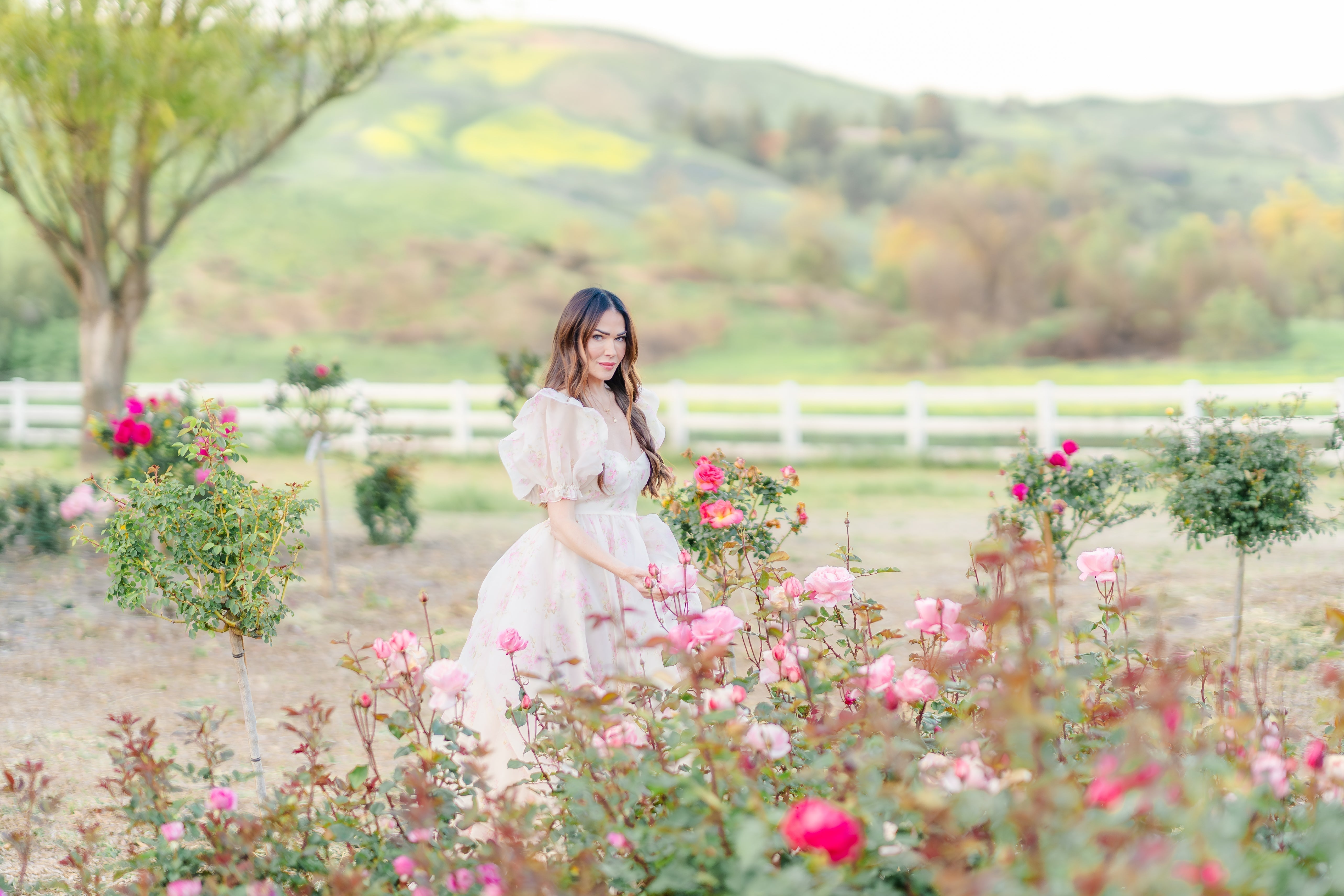 Tree Roses: The Ultimate Statement in Garden Design