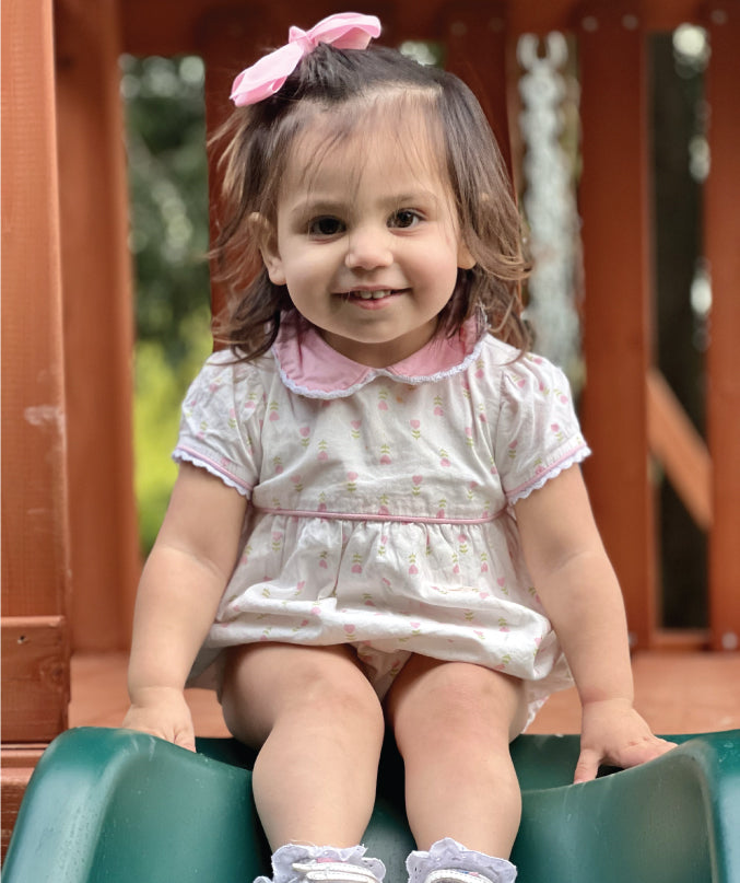 A Sister For Seraphina Grace Rose Farm