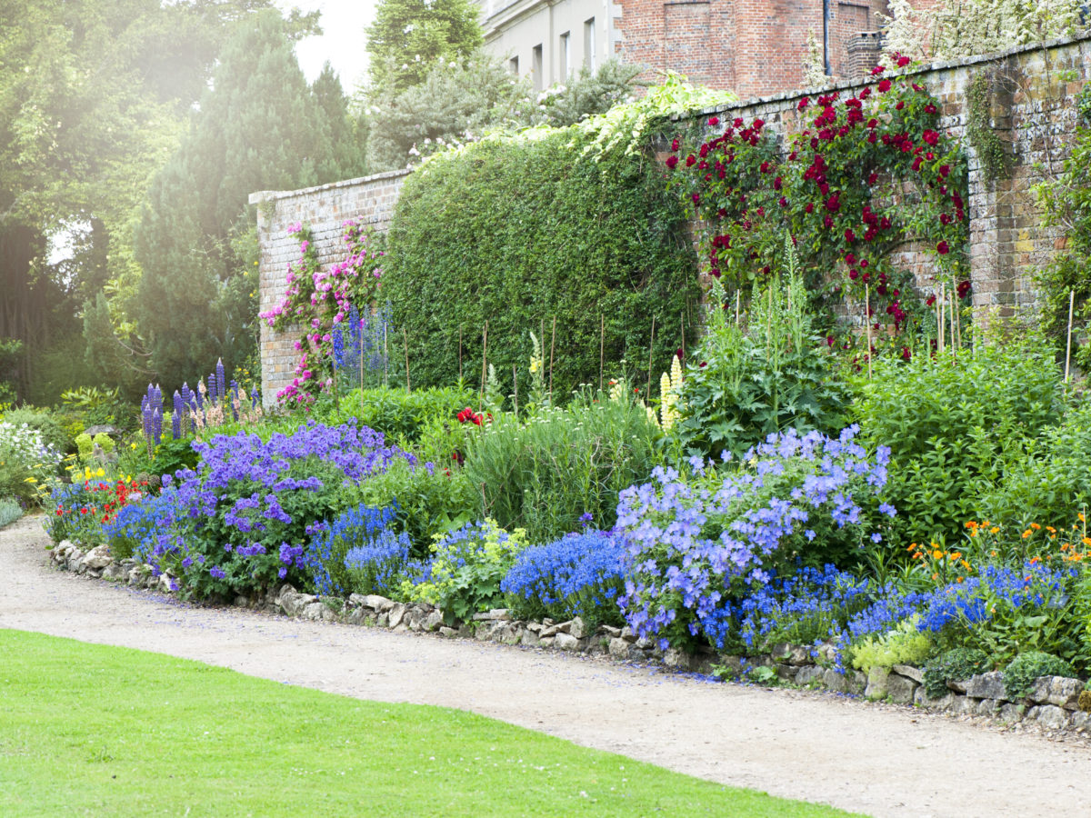 Designing with Roses - The Edwardian Mixed Border