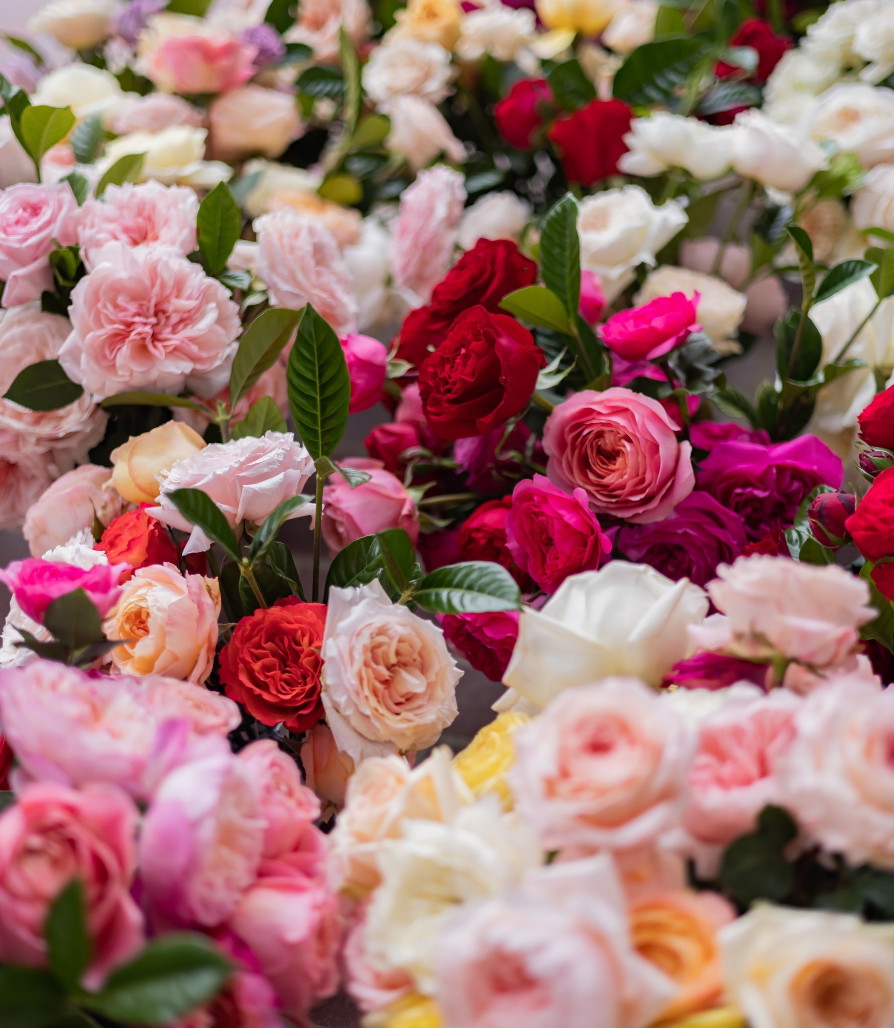 Romanticize Every Day - Grace Rose Farm