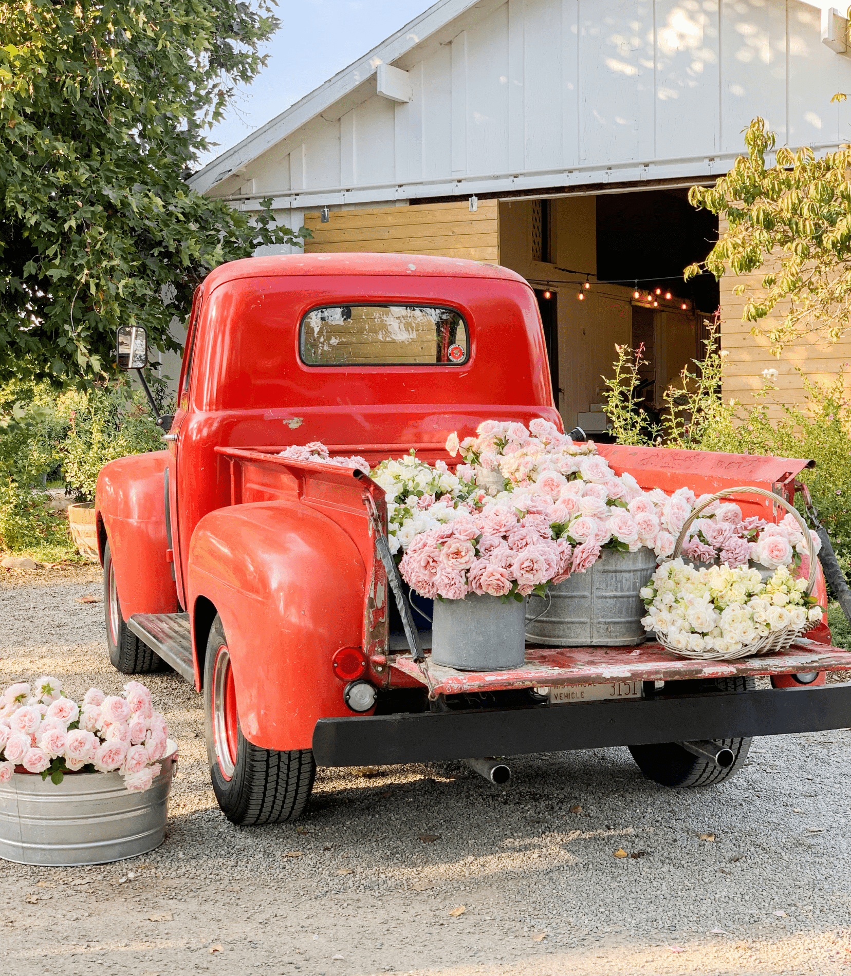 The Making of the Country Living Cover - Grace Rose Farm