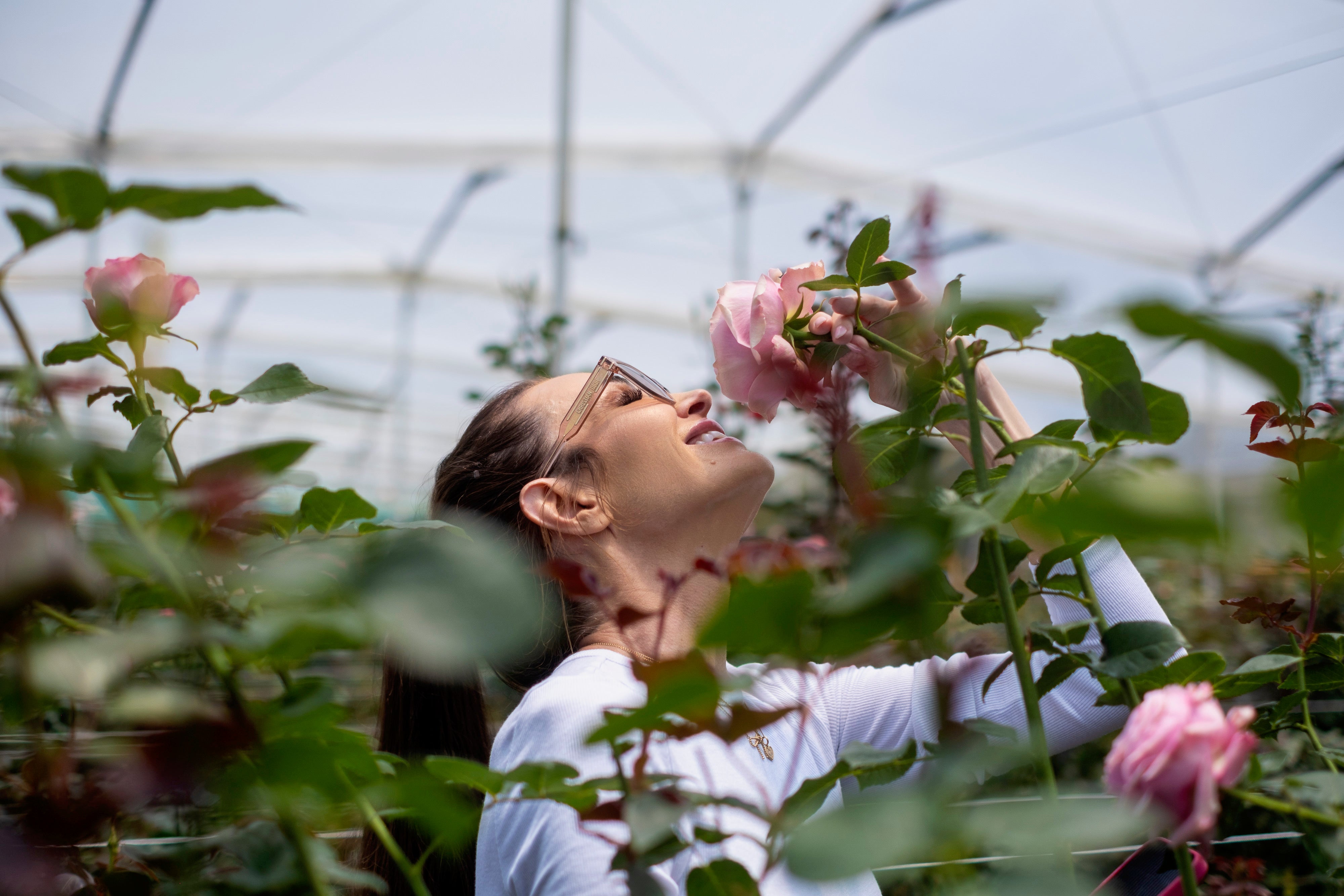 Women on the Farm: Growth and Opportunity in an Evolving Industry - Grace Rose Farm