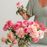 GARDEN ROSES: The Complete Guide to Growing & Arranging Spectacular Blooms *Signed Copy*