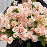 French Lace Bare Root Rose Bush