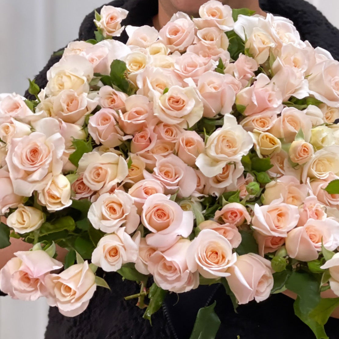 French Lace™ Potted Rose Bush