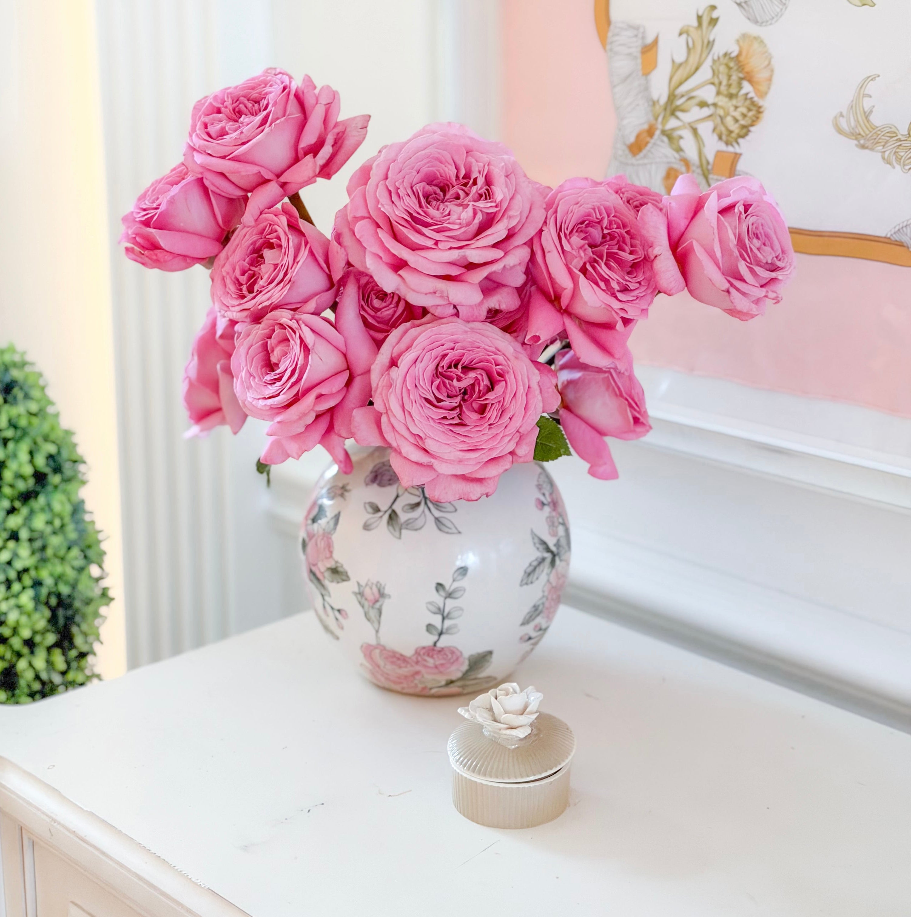 Héloïse-Grace™ Potted Rose Bush
