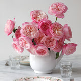 David Austin® Constance™ Bouquet