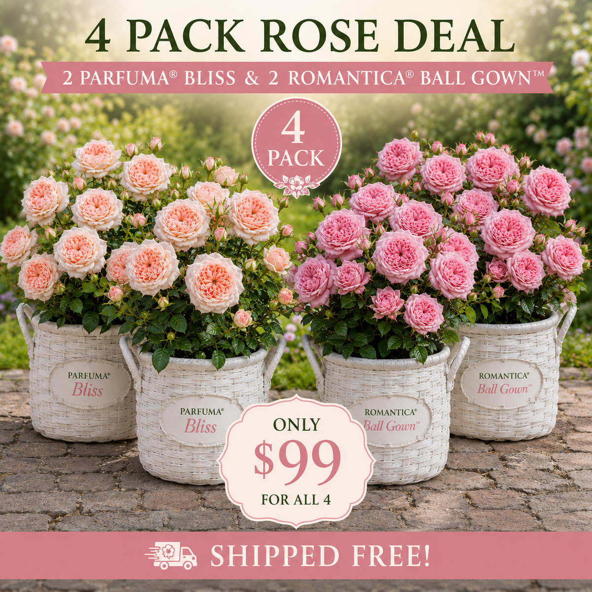 4 Pack $99 Deal - 2 pk Parfuma® Bliss & 2 pk Romantica® Ball Gown™