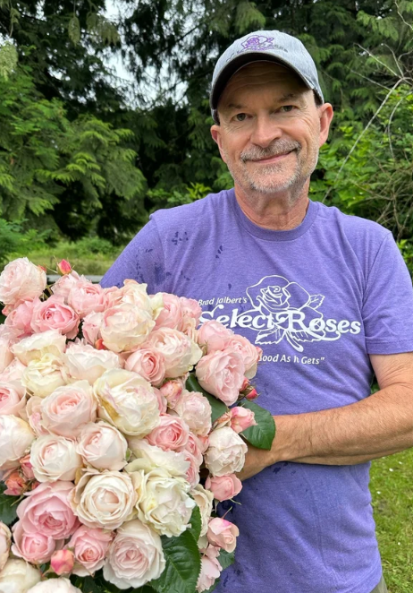 Dylan Rose Bare Root Rose Bush
