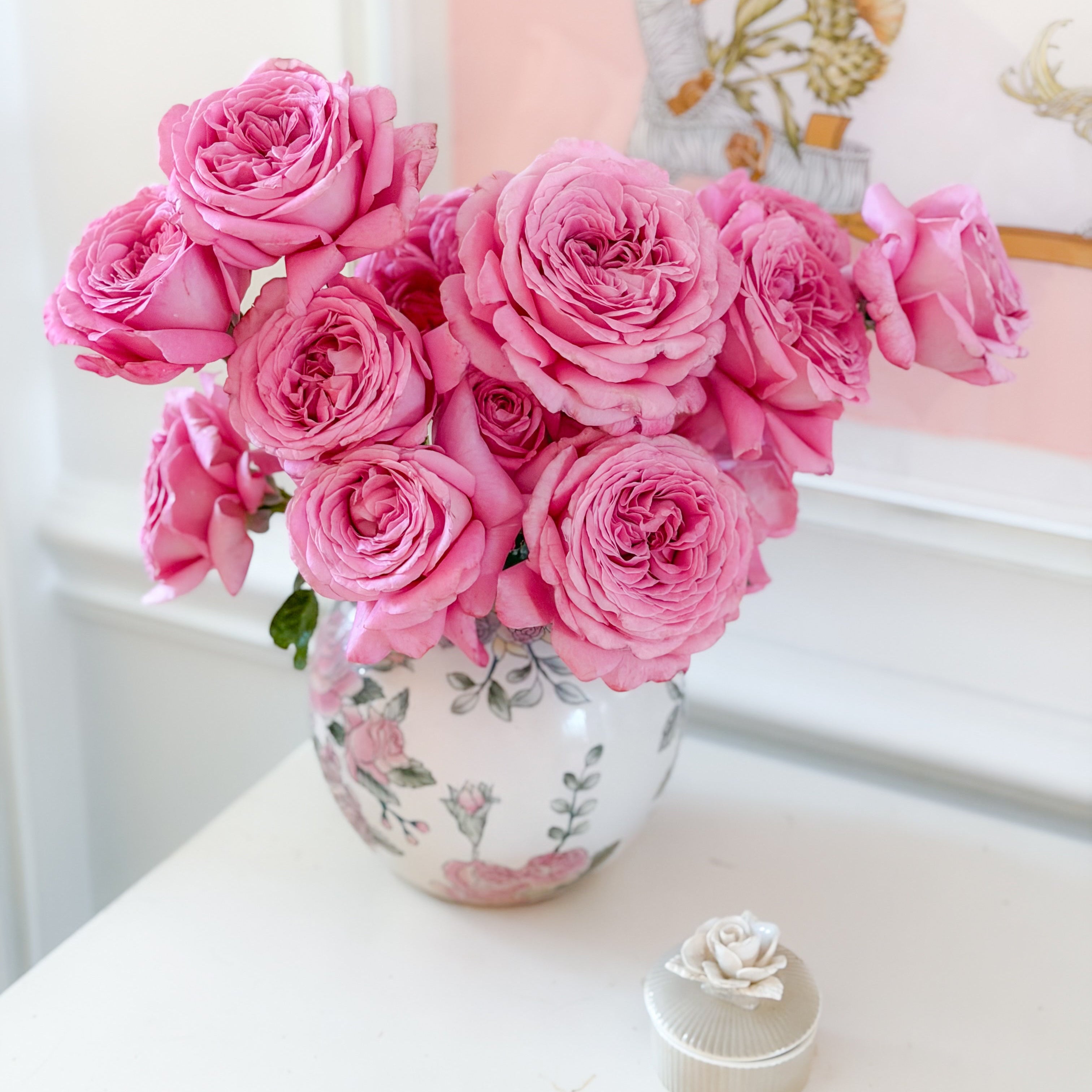 Héloïse-Grace™ Potted Rose Bush