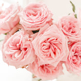 Pink O'Hara® Special Bouquet