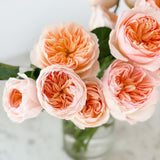 Juliet™ Special Bouquet