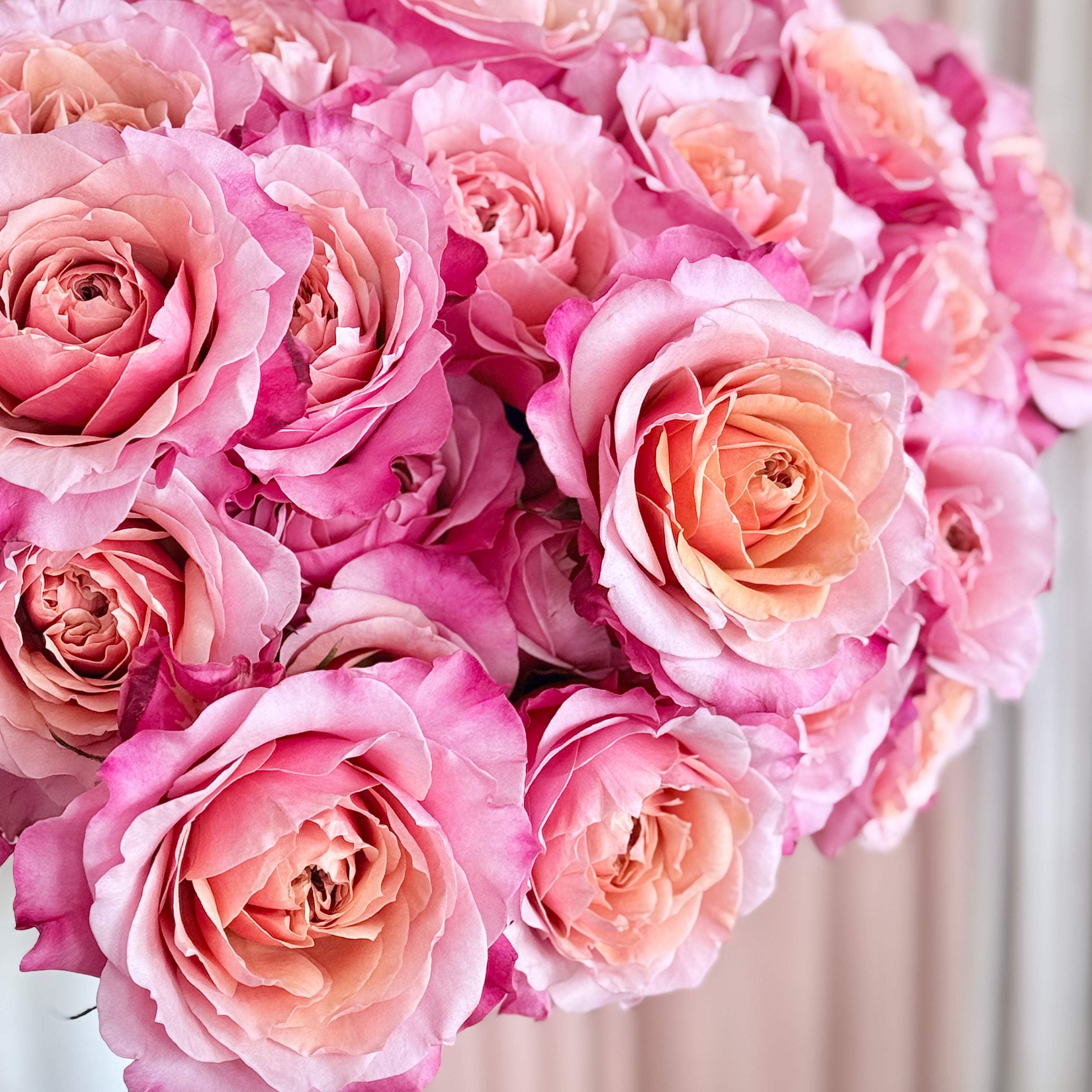 Rainbow Sherbet Valentine's Day Bouquet