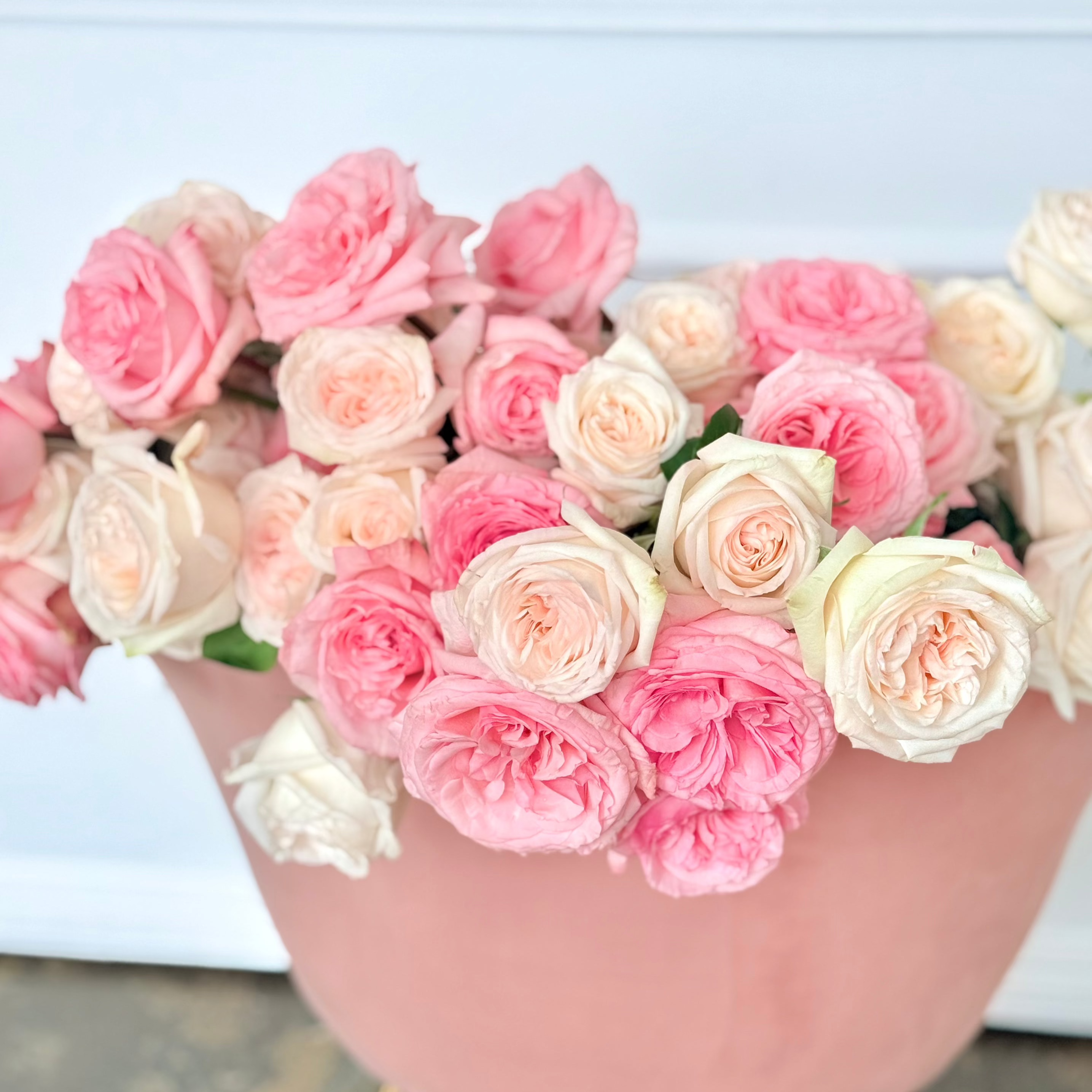 Jenny's O'Hara Rose Bundle