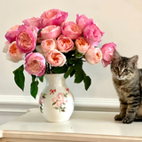 Bouquet of the Month