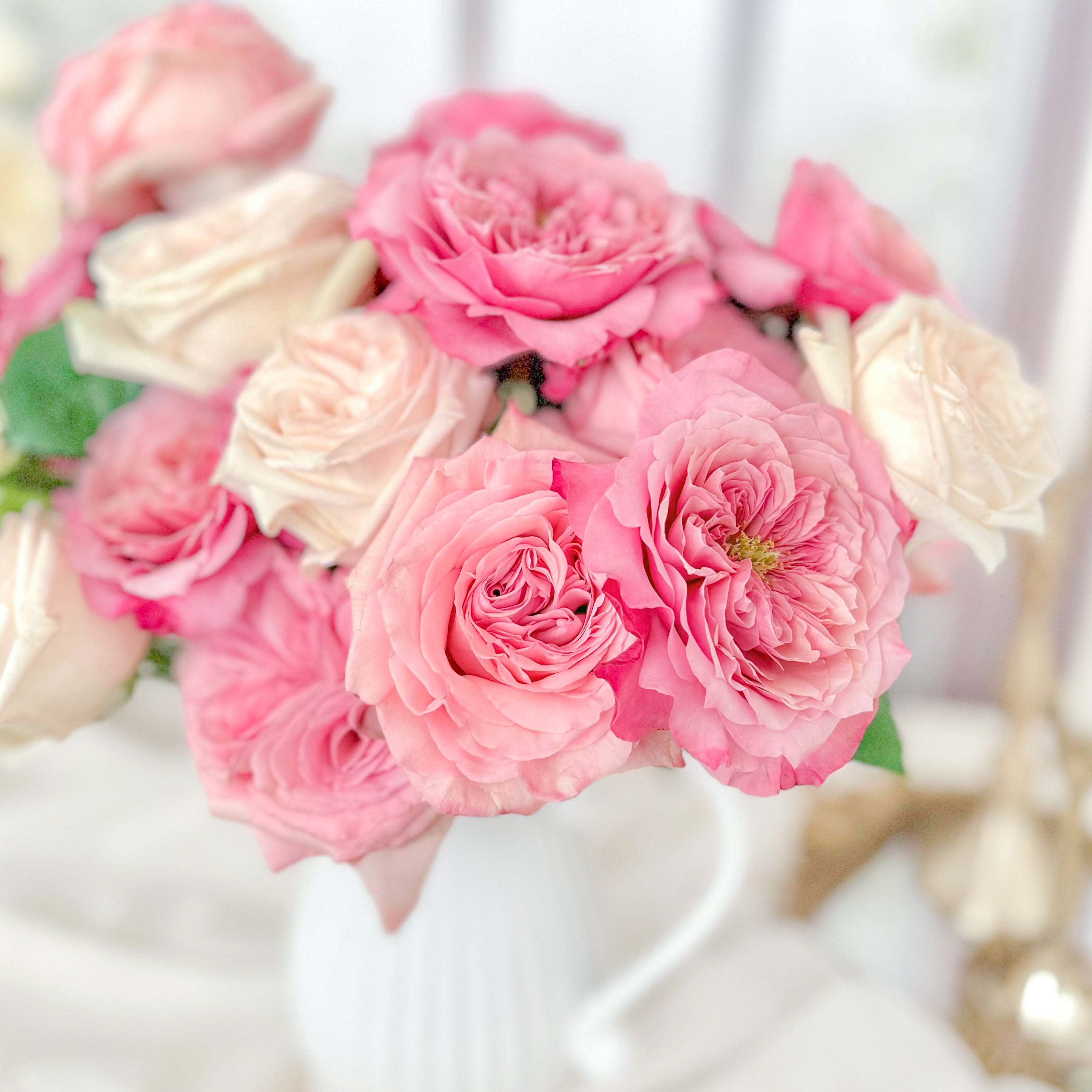 ジェリーキャット ローズブーケ  Rose Bouquet IMG_2163_8cb7f7dc-6f1a-4e1d-