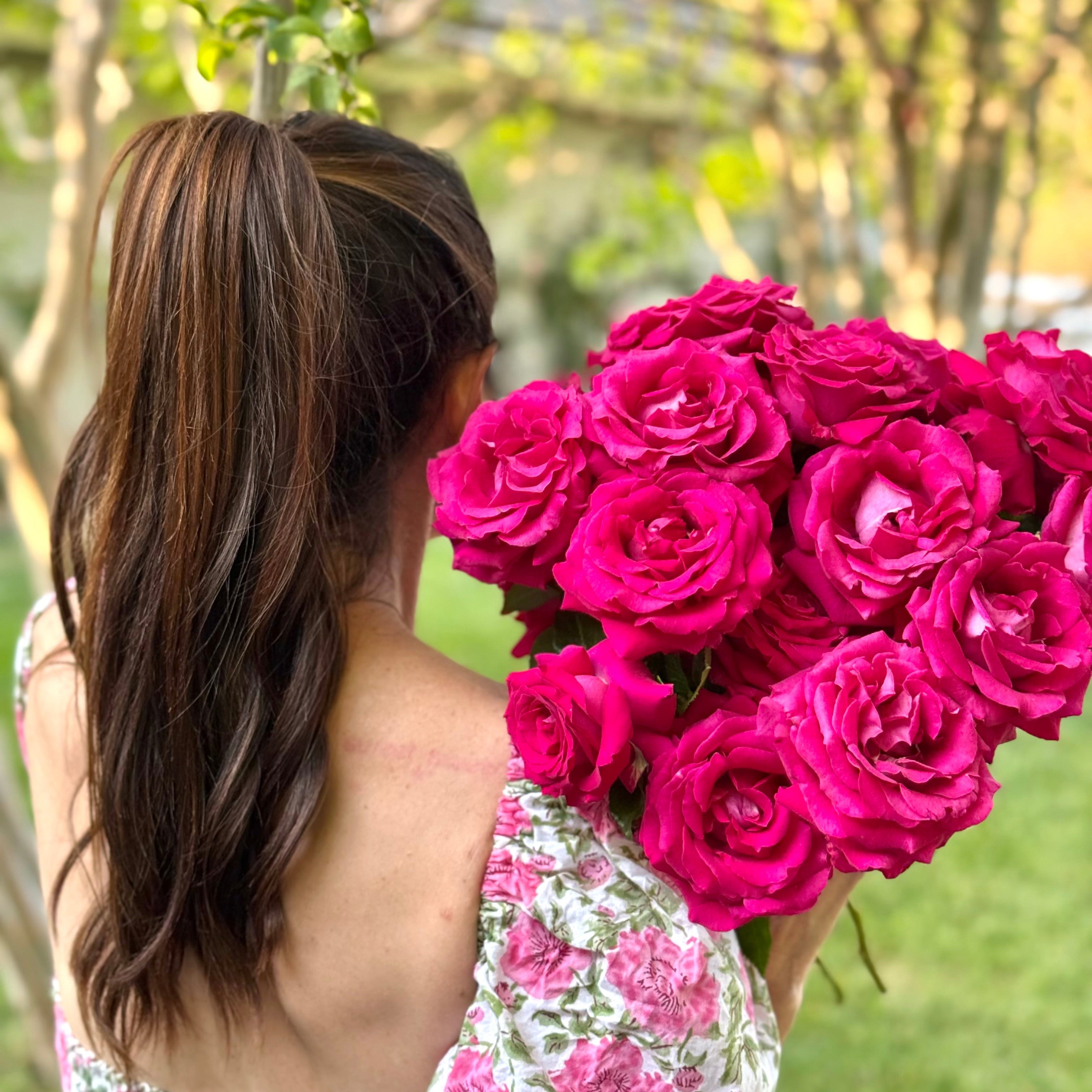 Stiletto™ Bare Root Rose Bush