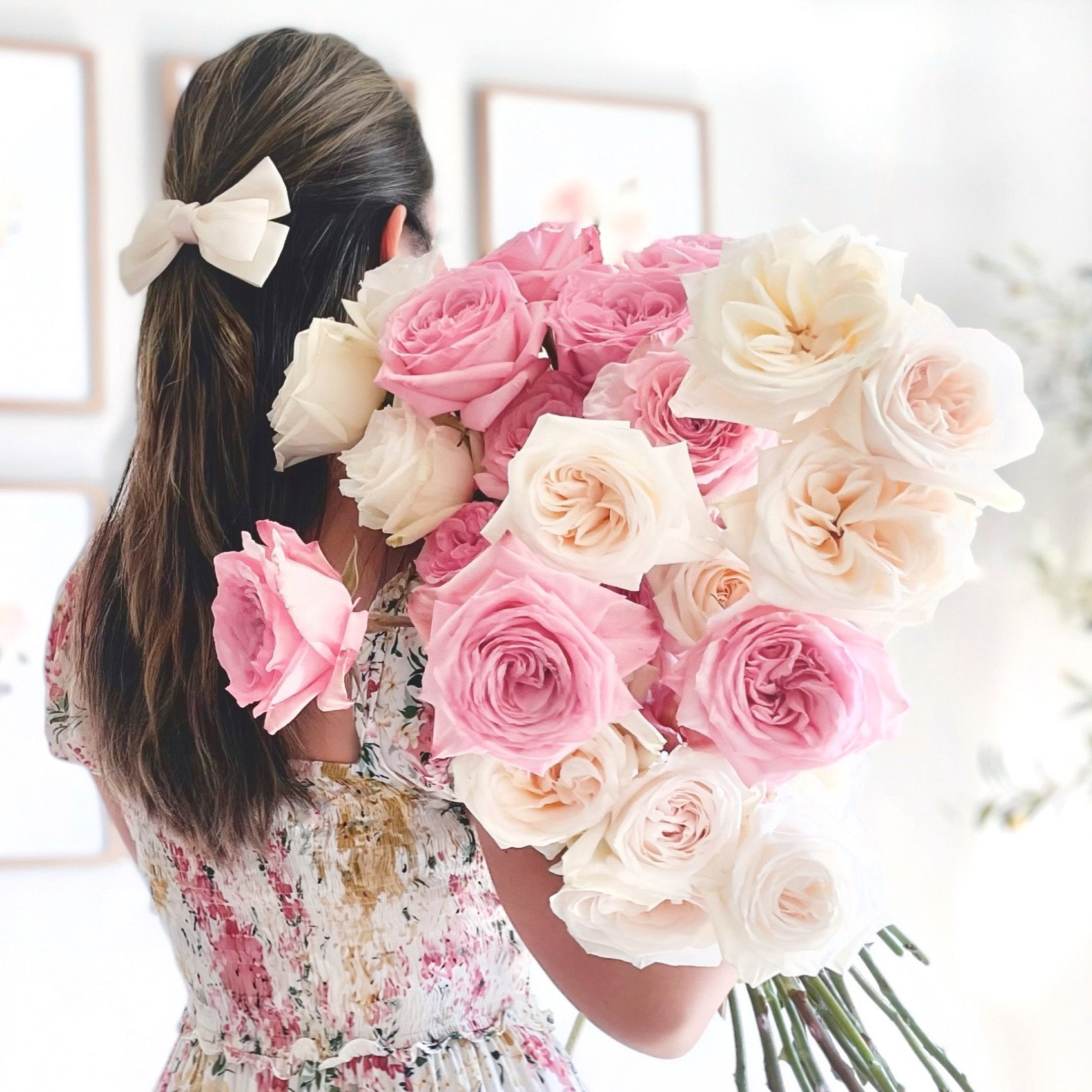 Jenny's O'Hara Rose Bundle