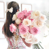 Jenny's O'Hara Rose Bundle