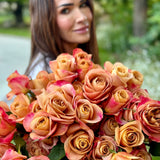 Symbol™ Potted Rose Bush