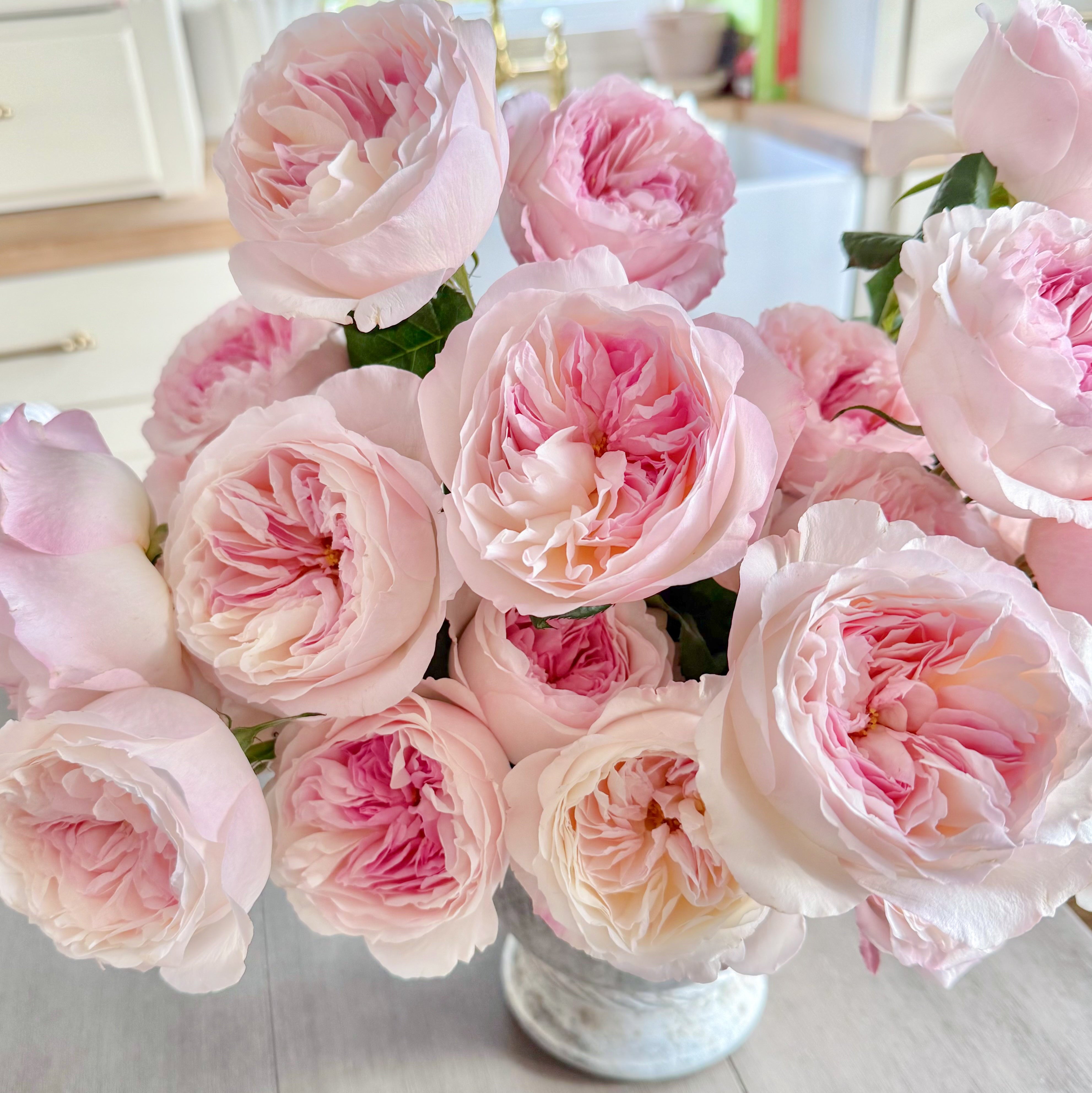 David Austin® Keira™ Bouquet