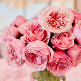 Queen Of Elegance™ Potted Tree Rose