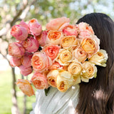 Sherbet Garden Rose Bundle