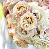 Nude Garden Rose Bundle