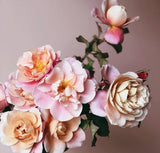 Distant Drums Bare Root Rose Bush