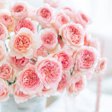 David Austin® Phoebe™ Bouquet