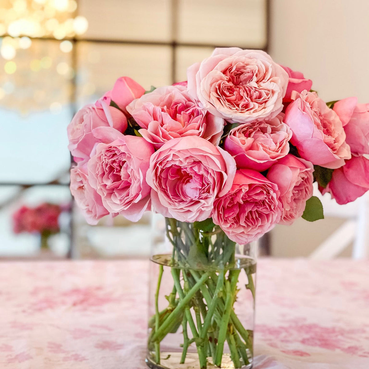 Queen of Elegance™ Bare Root Rose Bush
