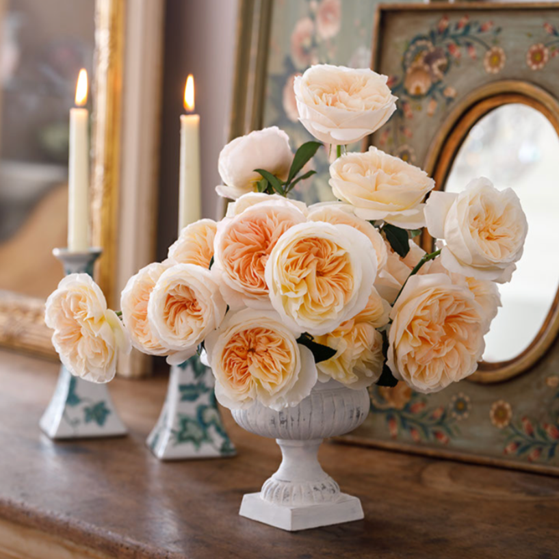 Bessie™ Special Bouquet