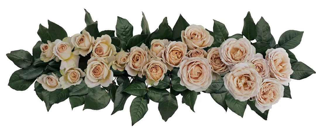 Hana™ Spray Rose Bouquet