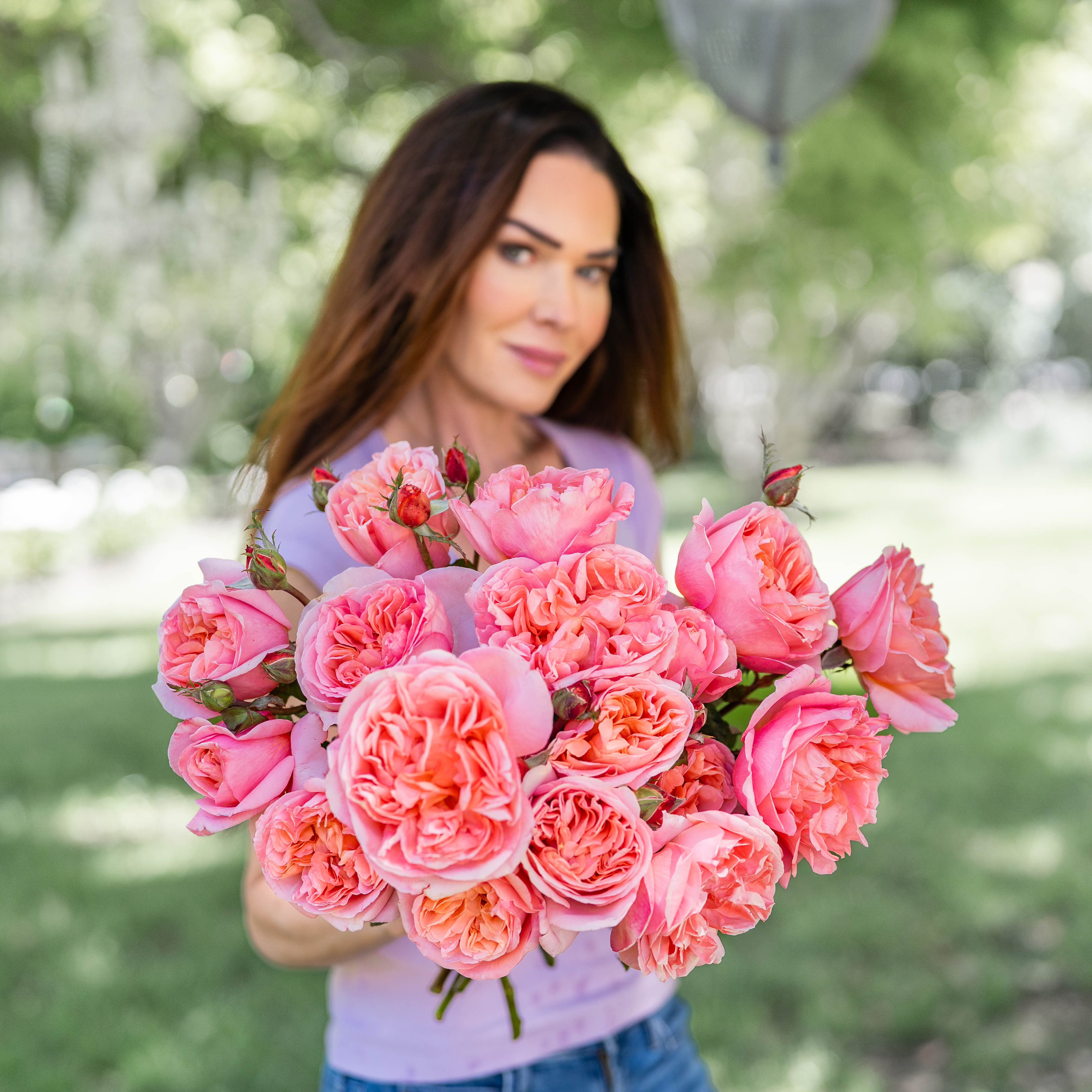 Sweet Mademoiselle™ Potted Rose Bush