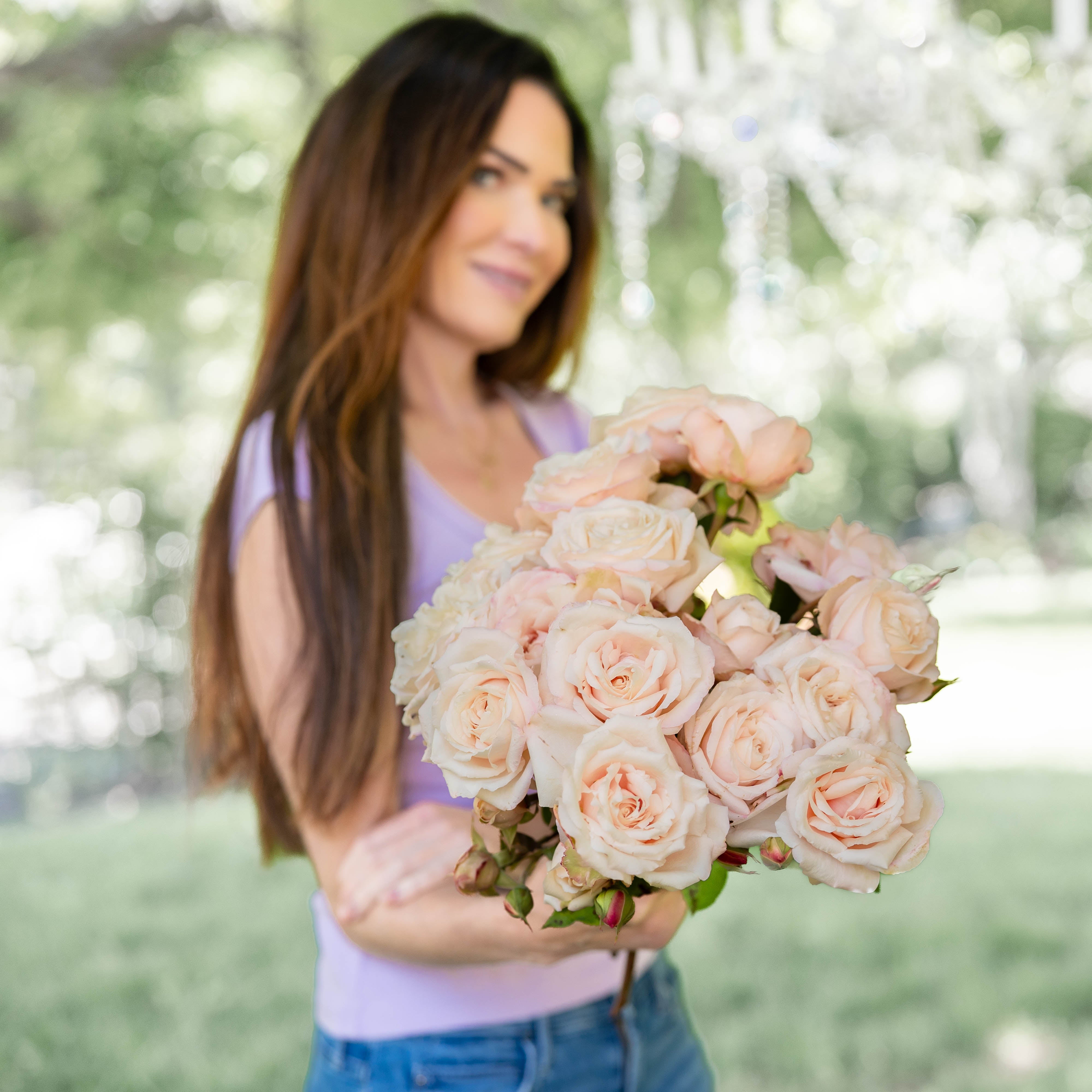 Belinda's Blush™ Bare Root Rose Bush