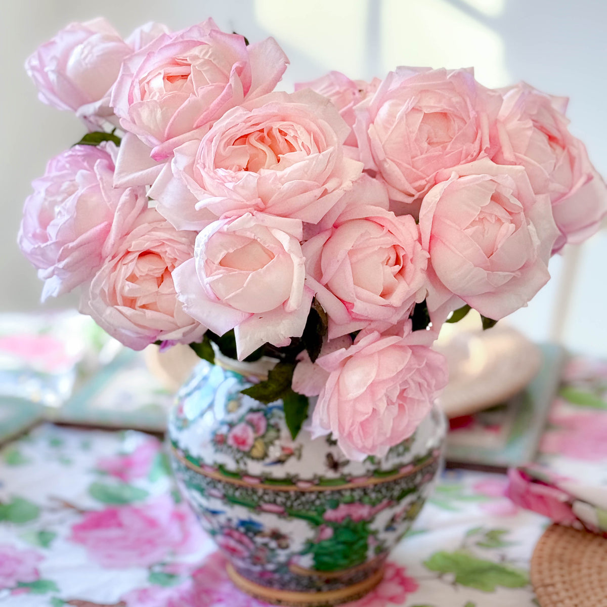 Best Kept Secret™ Bare Root Rose Bush