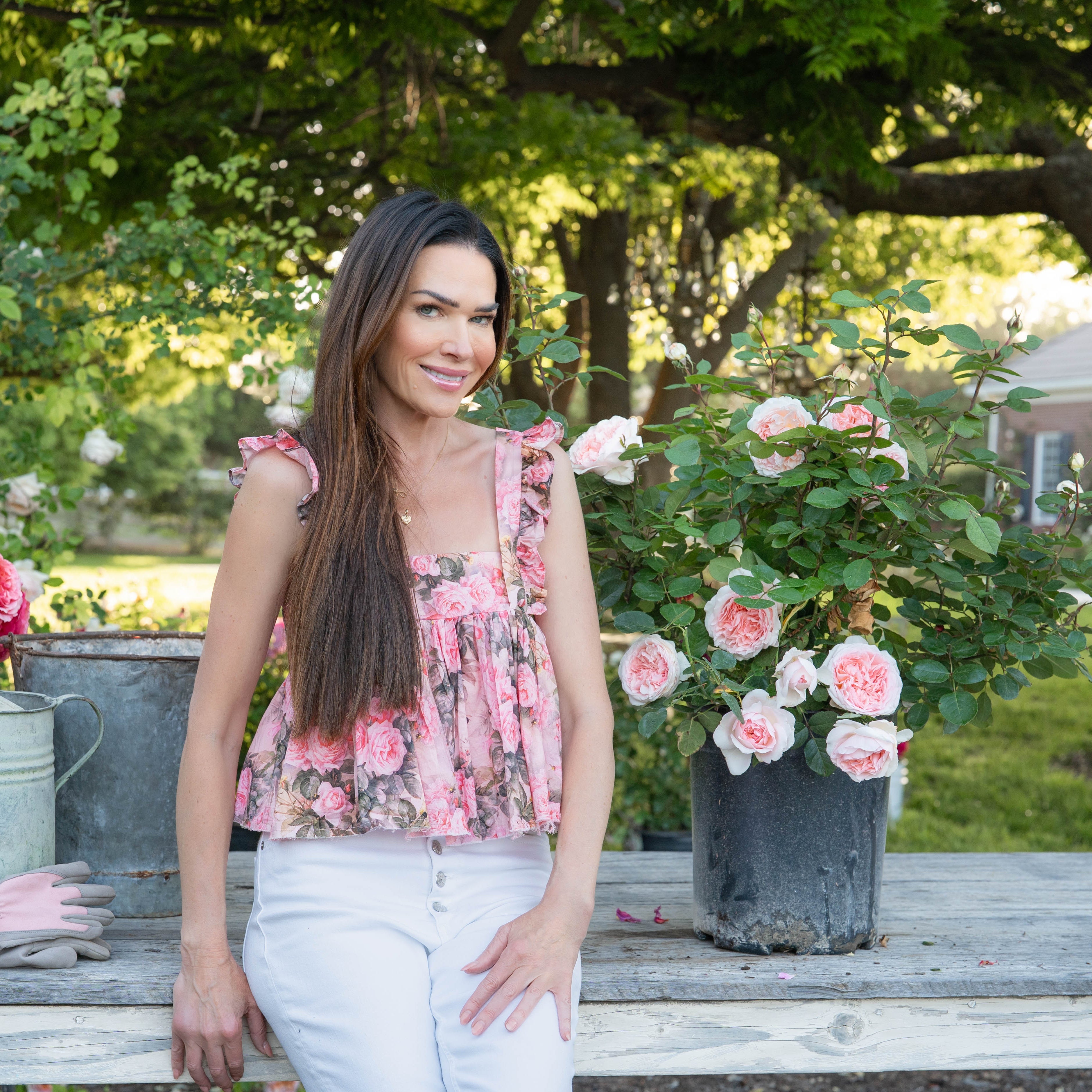 Parfuma® Bliss Potted Rose Bush