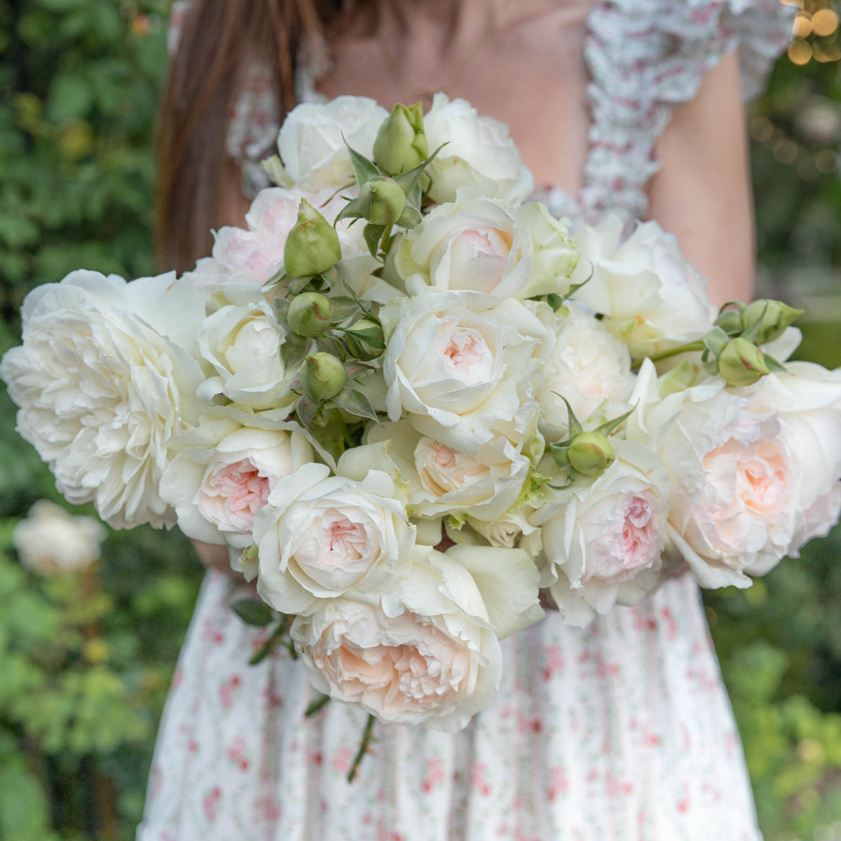 Person holding a bouquet of white and pink flowers in an outdoor setting