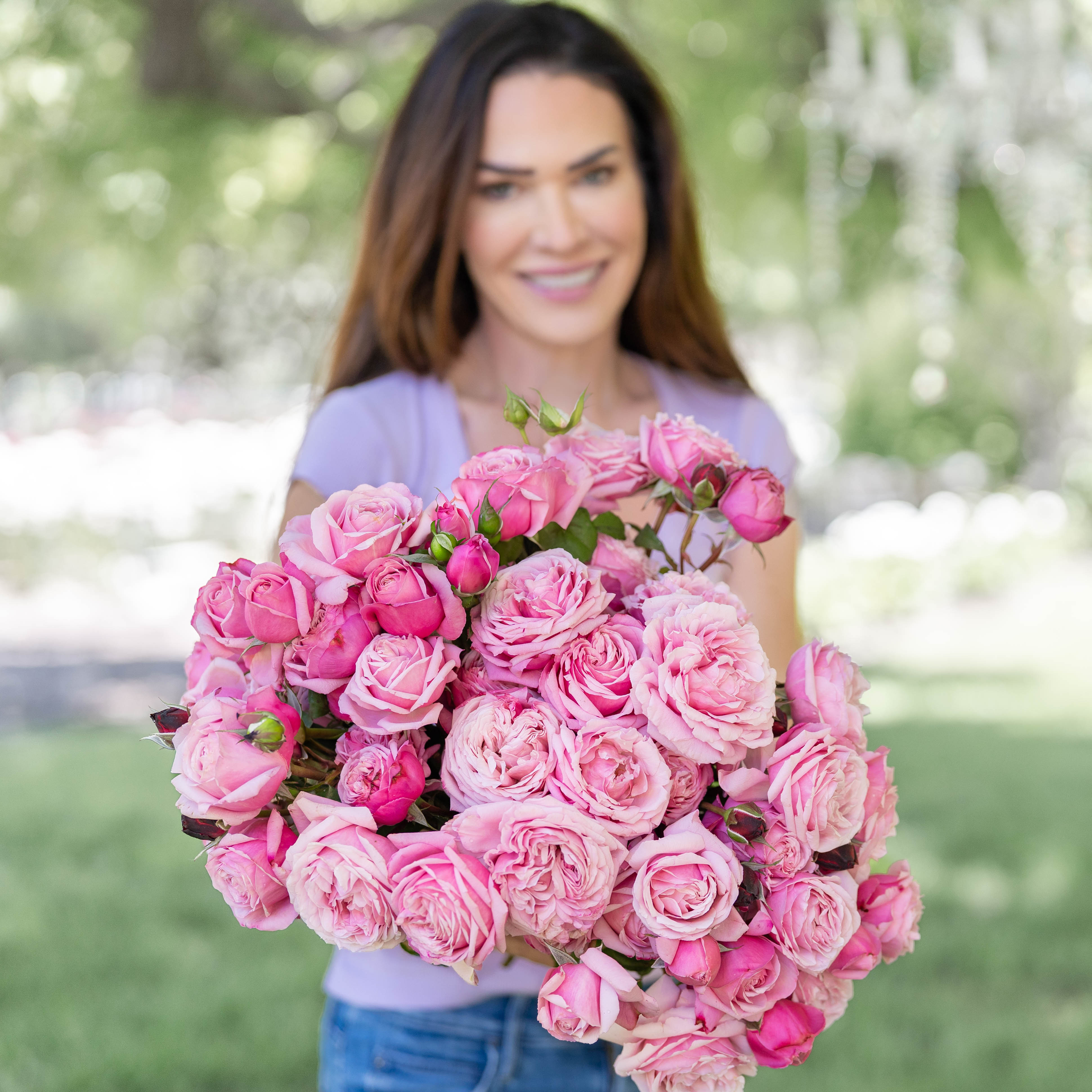 Cathedral Bells™ Bare Root Rose Bush