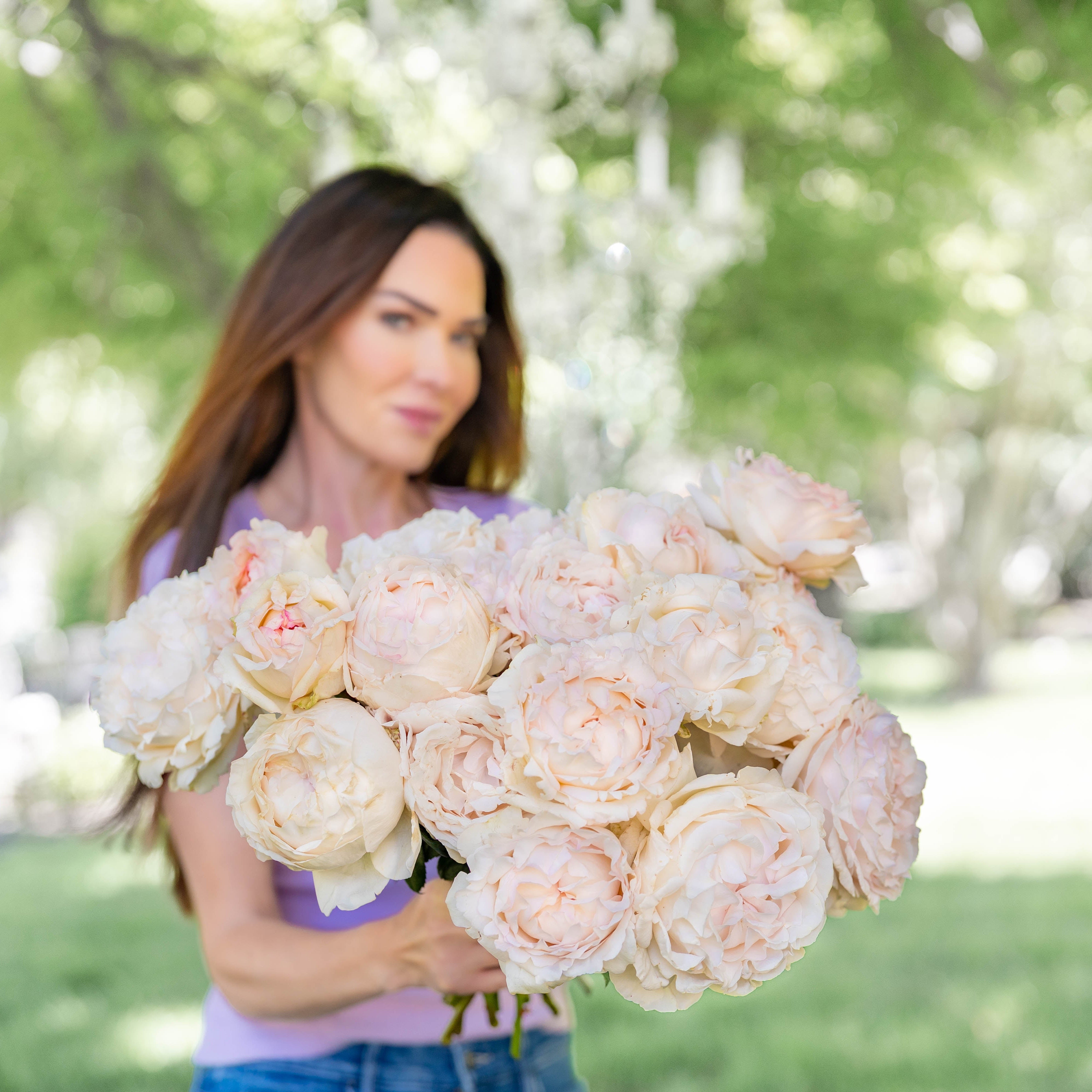 Classic Woman™ Potted Rose Bush
