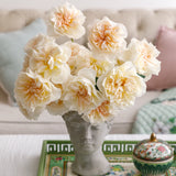 David Austin® Eugenie™ Bouquet