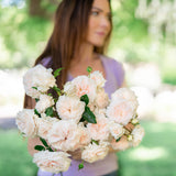 Arborose® Honeymoon Bare Root Climbing Rose