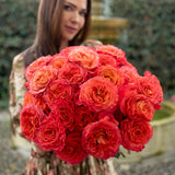 Sunset Celebration® Special Bouquet