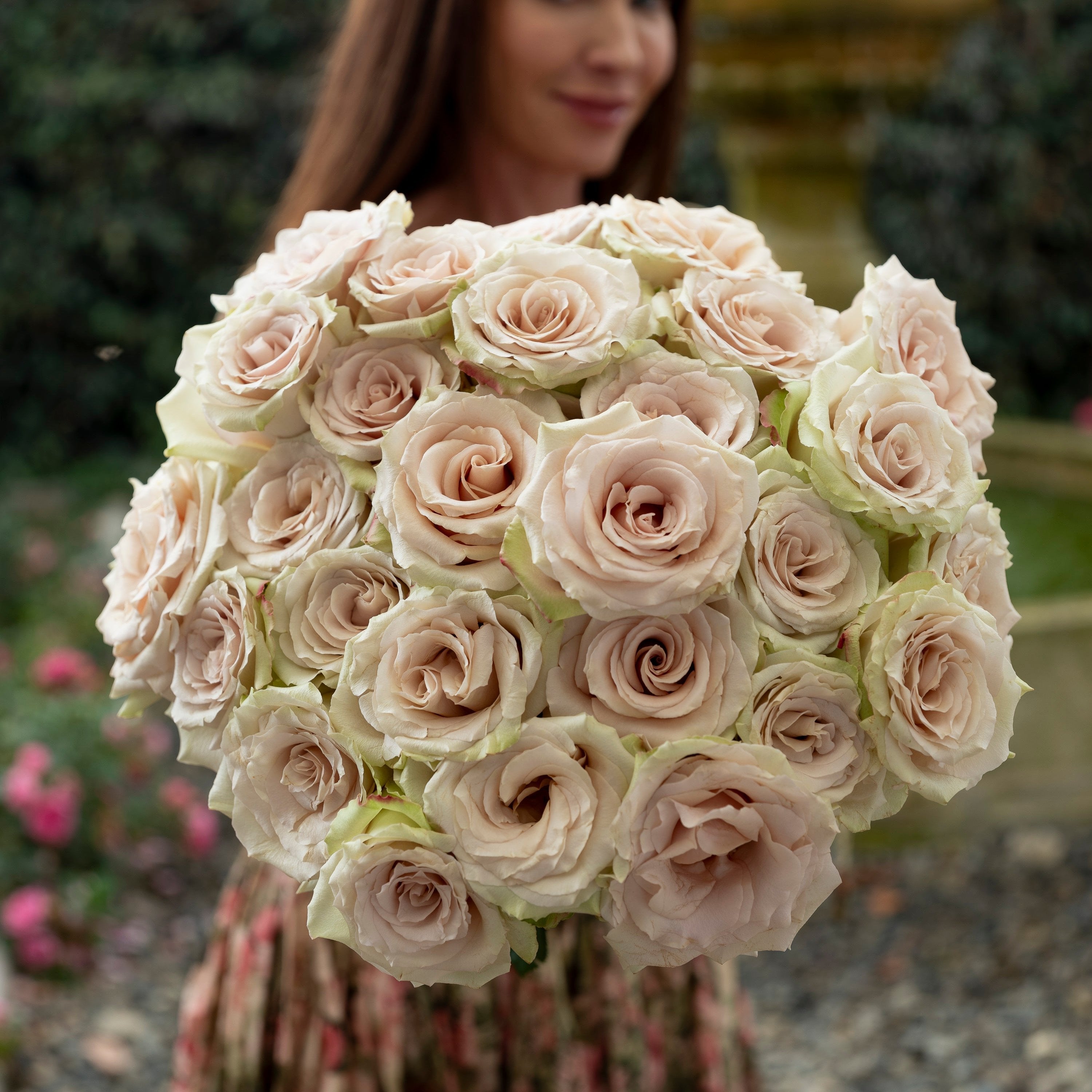 Always in Bloom™ Garden Rose Subscription