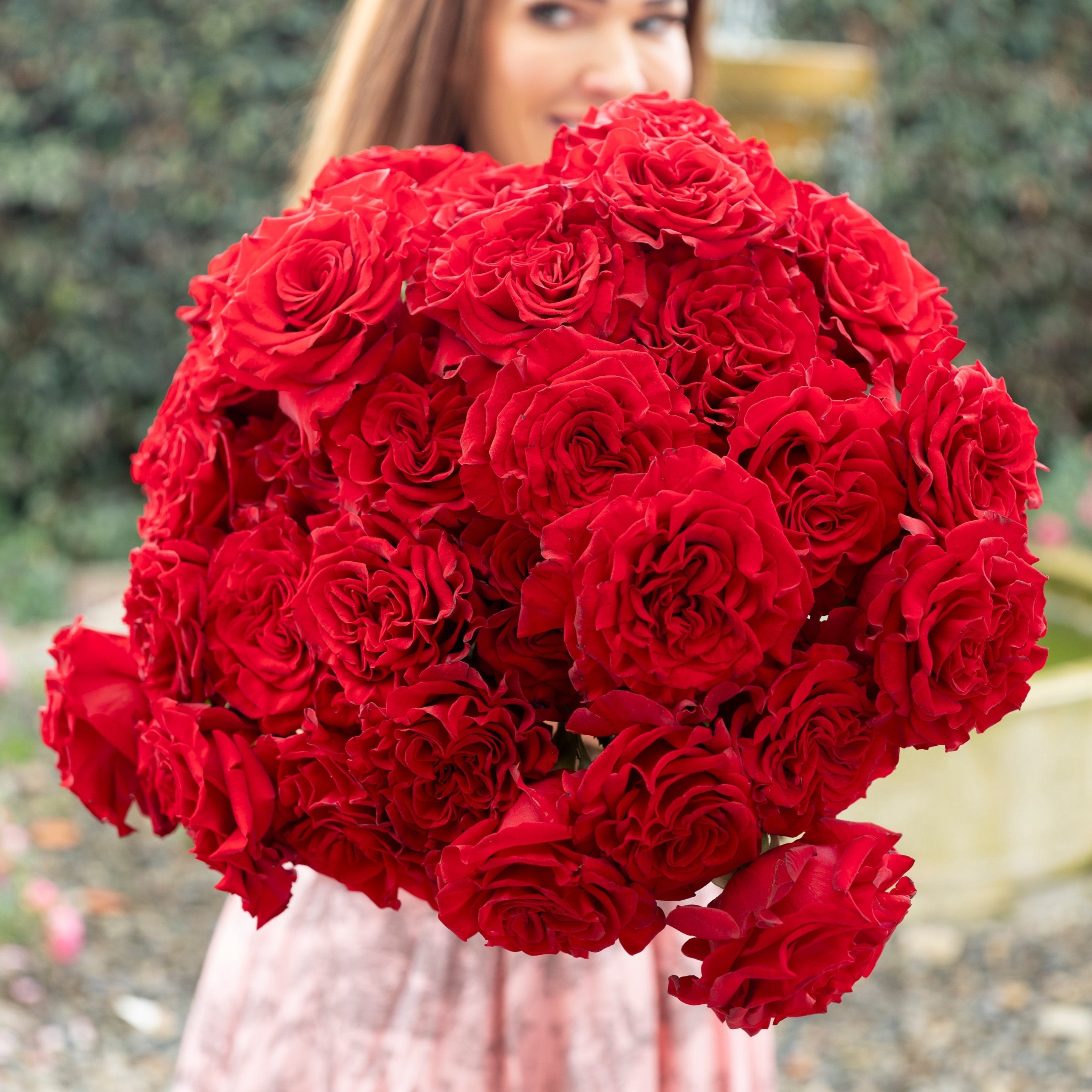 Forever in Love, Forever in Bloom™ Garden Rose Subscription