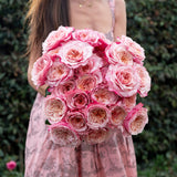 Always in Bloom™ Garden Rose Subscription