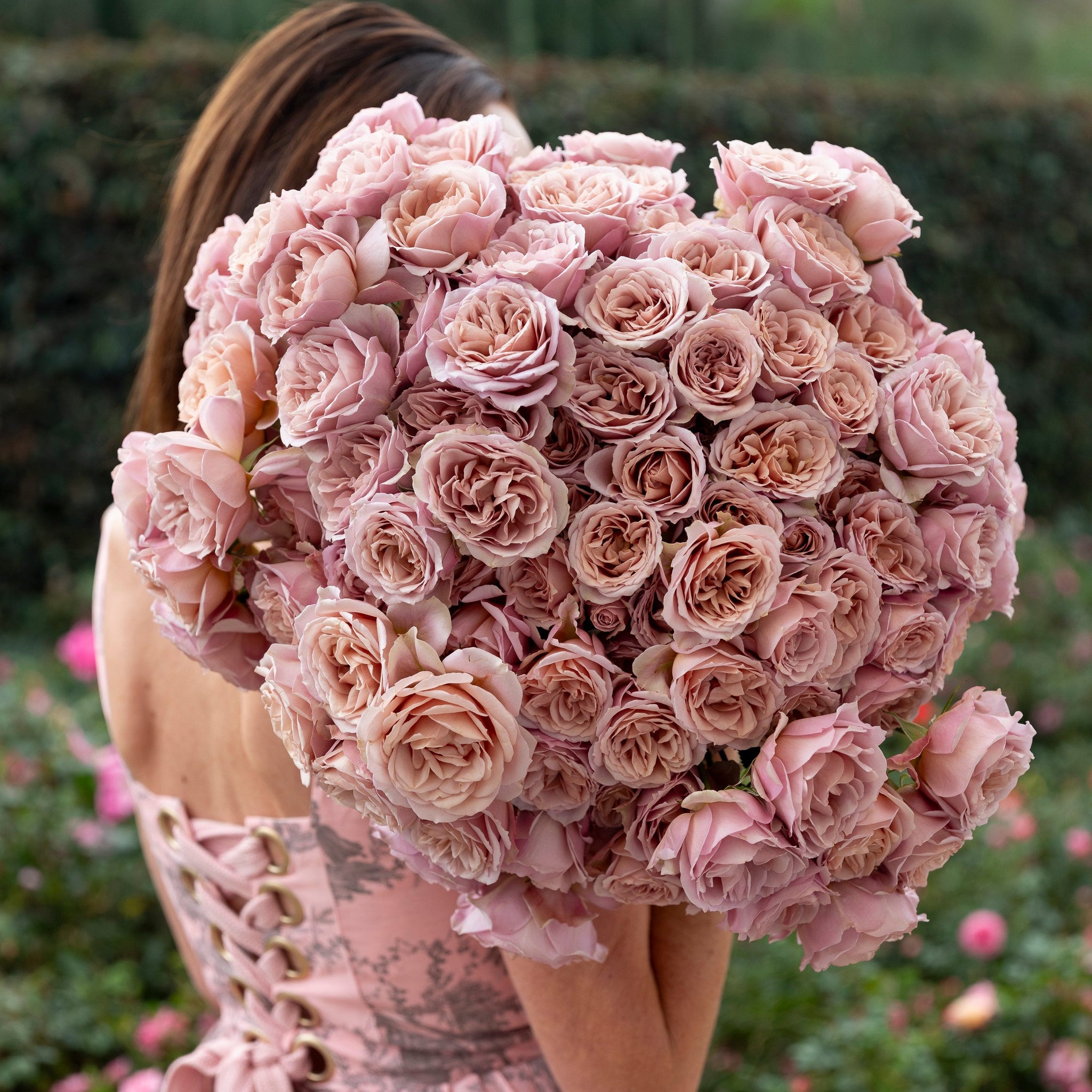 Loli Spray Rose | Pink Spray Rose Bouquet | Grace Rose Farm