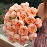 Always in Bloom™ Garden Rose Subscription