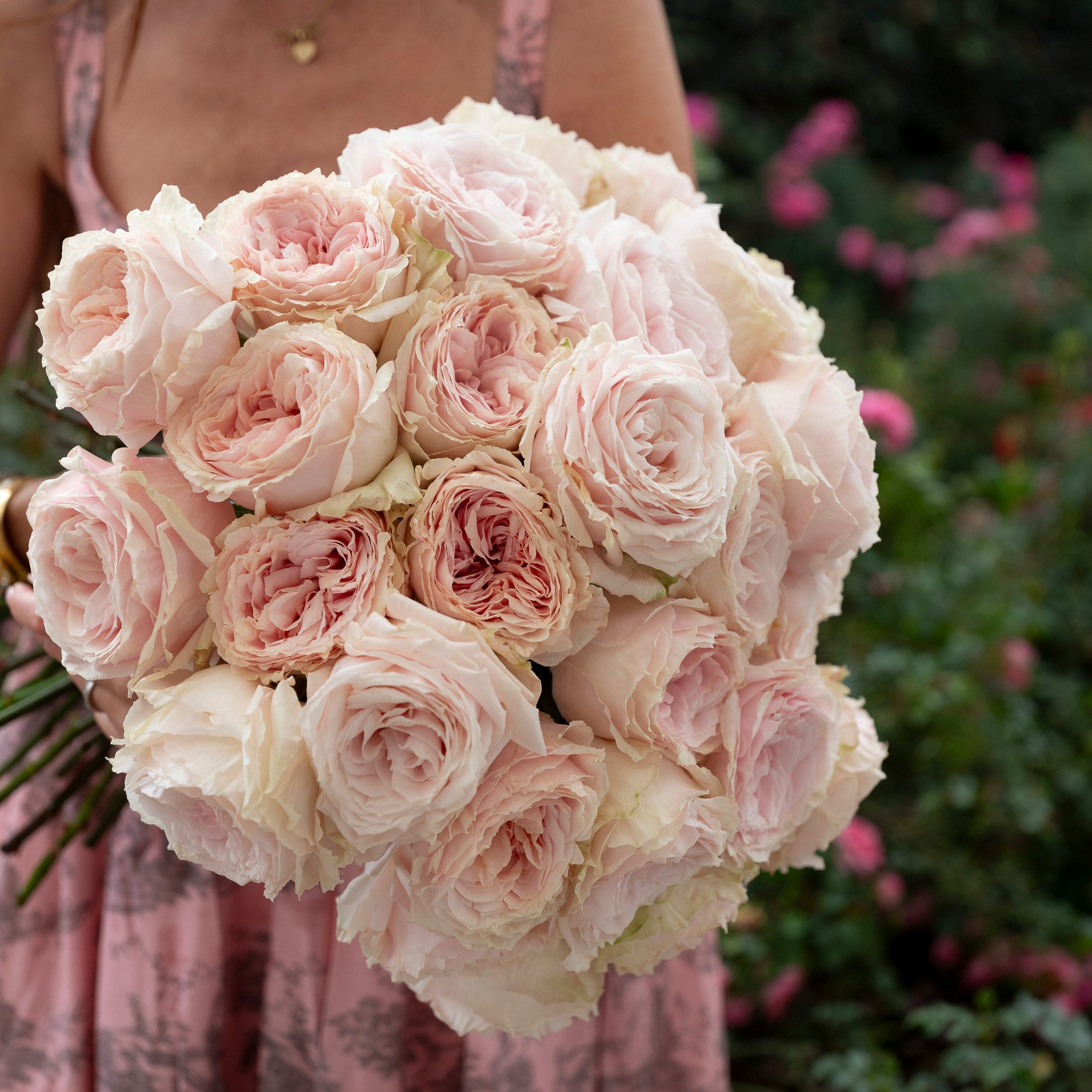 David Austin® Always in Bloom™ Subscription