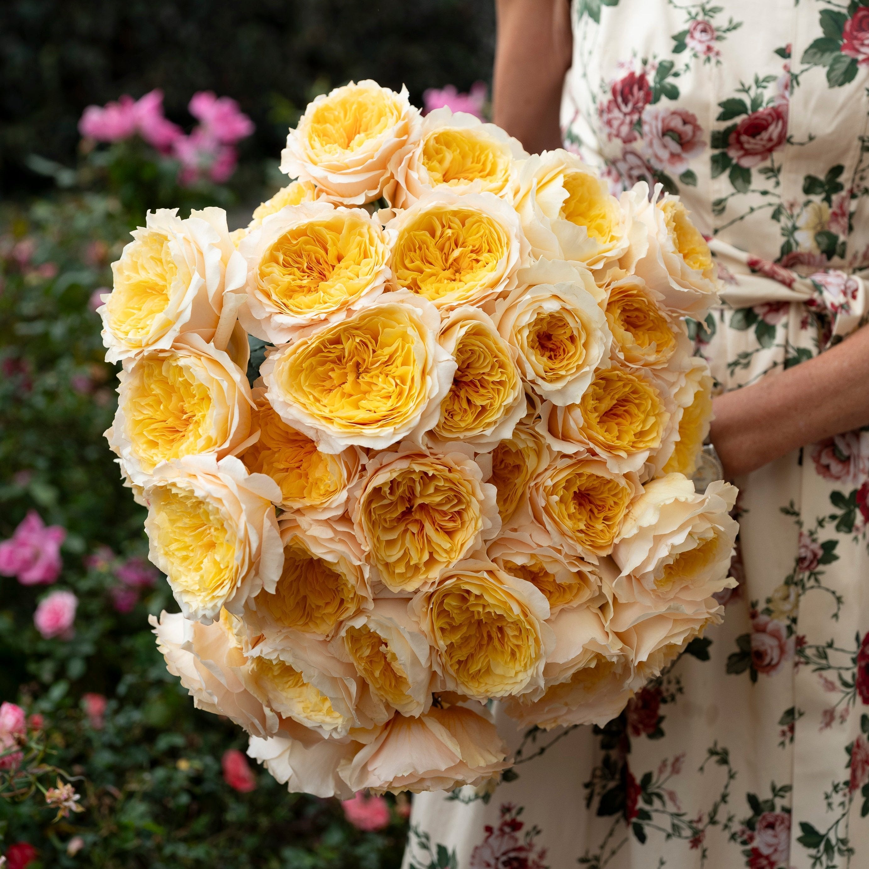 David Austin® Effie™ Bouquet
